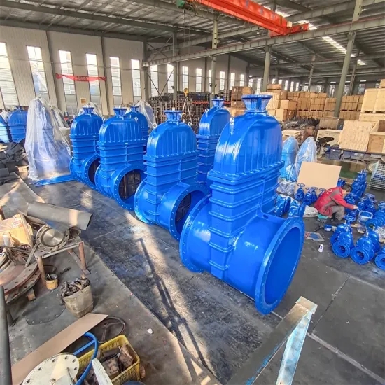 FLANGED-SOFTETS-SOFT-SED-SETILIENT-GATE-GATE-VALVE- مع معايير مختلفة-for-Water.Web (2)